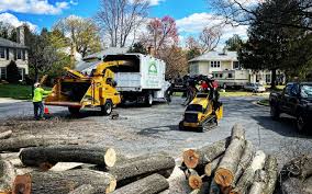 Reliable De Pere, WI Tree Care Solutions